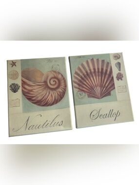 Home Interiors Seashell Canvas Wall Art Set Nautilus Scallop Coastal Beach Decor